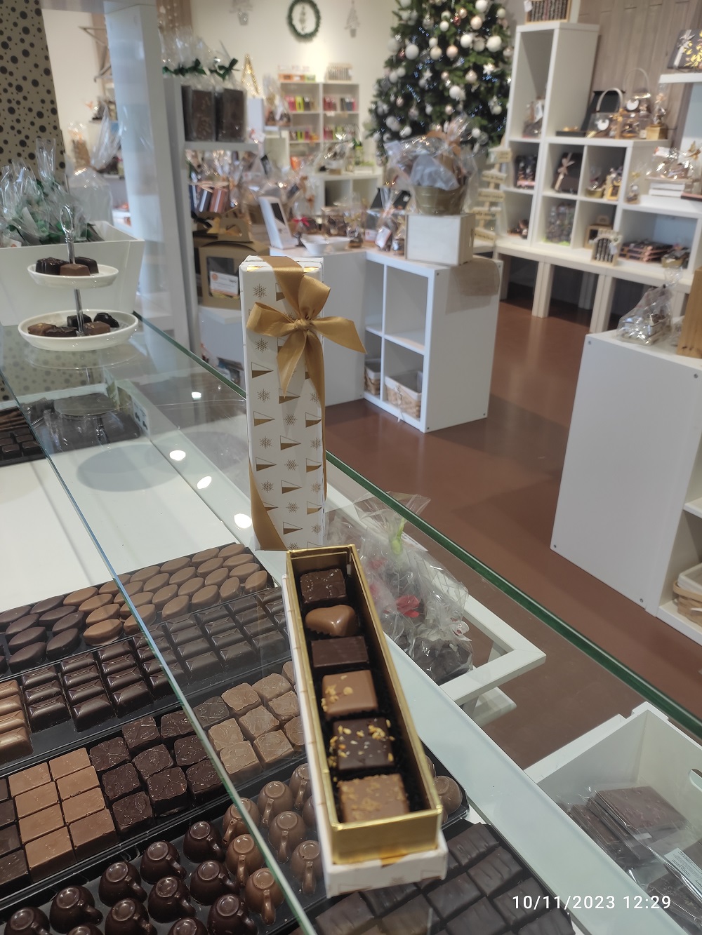 Réglette 6 chocolats - Collection Forêt Dorée